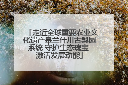 走近全球重要农业文化遗产皋兰什川古梨园系统 守护生态瑰宝 激活发展动能