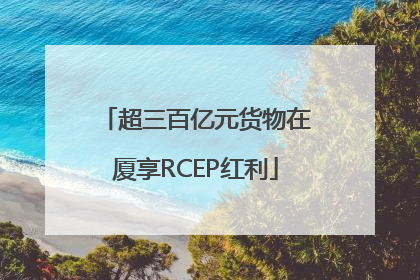 超三百亿元货物在厦享RCEP红利