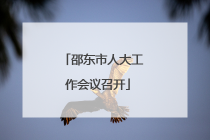 邵东市人大工作会议召开