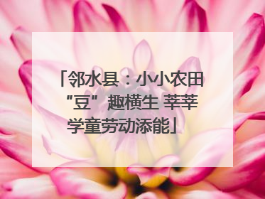 邻水县：小小农田“豆”趣横生 莘莘学童劳动添能