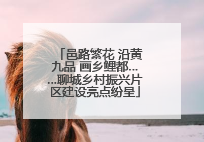 邑路繁花 沿黄九品 画乡鲤都……聊城乡村振兴片区建设亮点纷呈