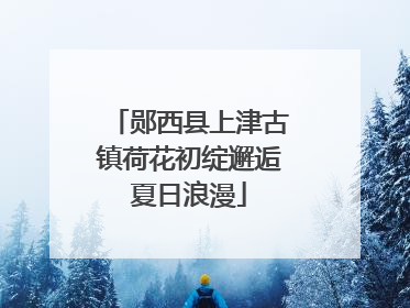 郧西县上津古镇荷花初绽邂逅夏日浪漫