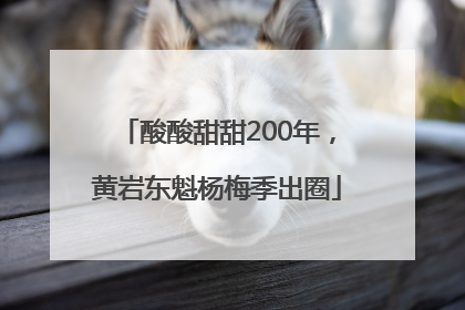 酸酸甜甜200年，黄岩东魁杨梅季出圈