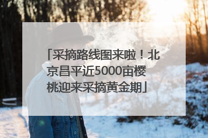 采摘路线图来啦！北京昌平近5000亩樱桃迎来采摘黄金期
