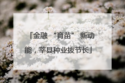 金融 “育苗” 新动能，莘县种业拔节长