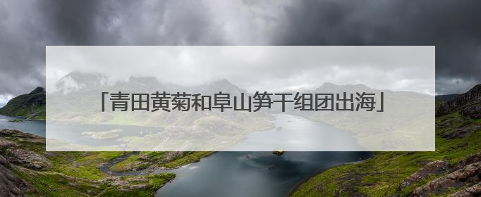 青田黄菊和阜山笋干组团出海
