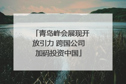 青岛峰会展现开放引力 跨国公司加码投资中国