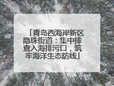 青岛西海岸新区隐珠街道：集中排查入海排污口，筑牢海洋生态防线
