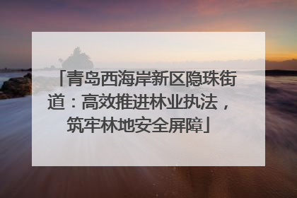 青岛西海岸新区隐珠街道：高效推进林业执法，筑牢林地安全屏障