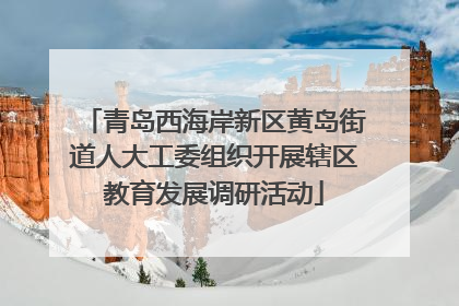 青岛西海岸新区黄岛街道人大工委组织开展辖区教育发展调研活动