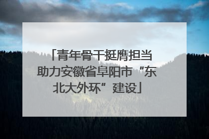 青年骨干挺膺担当 助力安徽省阜阳市“东北大外环”建设