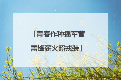 青春作种播军营 雷锋薪火照戎装