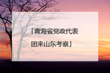 青海省党政代表团来山东考察