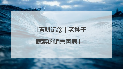 青耕记③｜老种子蔬菜的销售困局