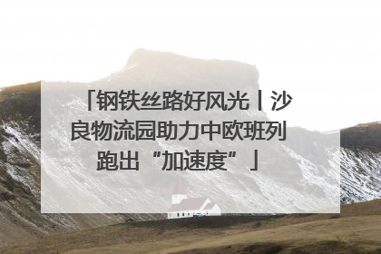 钢铁丝路好风光丨沙良物流园助力中欧班列跑出“加速度”