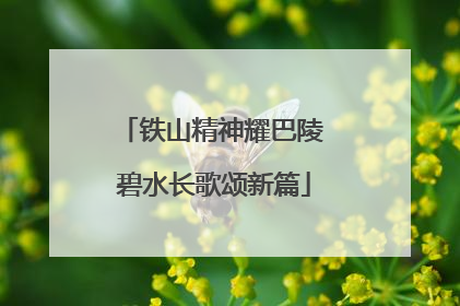 铁山精神耀巴陵 碧水长歌颂新篇