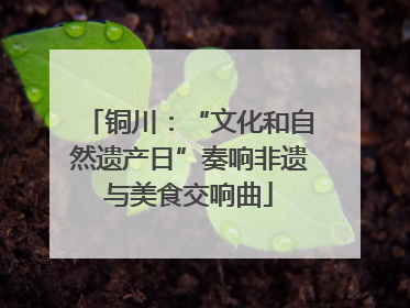 铜川：“文化和自然遗产日”奏响非遗与美食交响曲