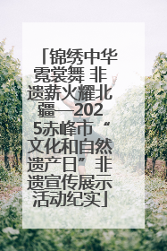 锦绣中华霓裳舞 非遗薪火耀北疆—2025赤峰市“文化和自然遗产日”非遗宣传展示活动纪实