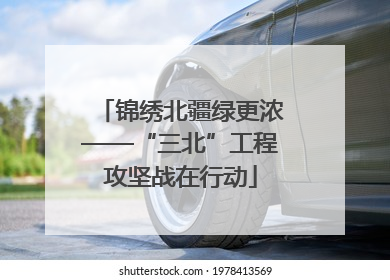 锦绣北疆绿更浓——“三北”工程攻坚战在行动