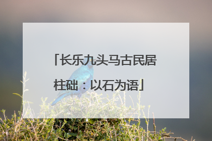 长乐九头马古民居柱础：以石为语