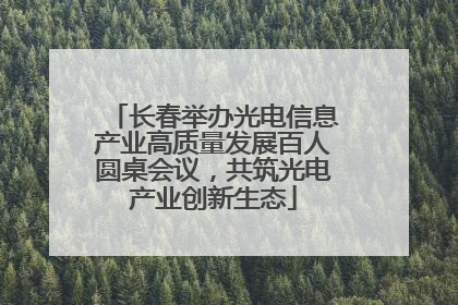 长春举办光电信息产业高质量发展百人圆桌会议，共筑光电产业创新生态