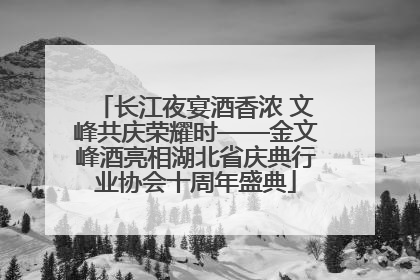 长江夜宴酒香浓 文峰共庆荣耀时——金文峰酒亮相湖北省庆典行业协会十周年盛典