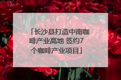 长沙县打造中南咖啡产业高地 签约7个咖啡产业项目