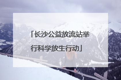 长沙公益放流站举行科学放生行动