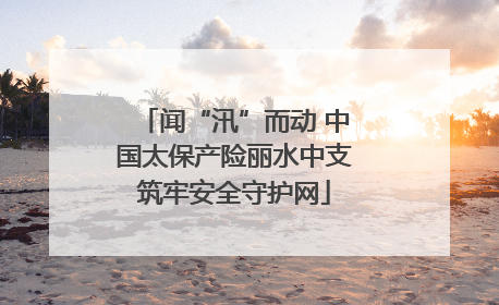 闻“汛”而动 中国太保产险丽水中支筑牢安全守护网