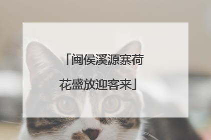 闽侯溪源寨荷花盛放迎客来