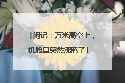 闲记：万米高空上，机舱里突然沸腾了