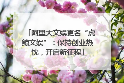 阿里大文娱更名“虎鲸文娱”：保持创业热忱，开启新征程
