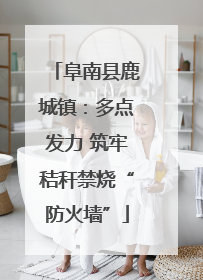 阜南县鹿城镇：多点发力 筑牢秸秆禁烧“防火墙”