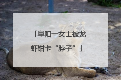 阜阳一女士被龙虾钳卡“脖子”