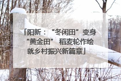 阳新：“冬闲田”变身“黄金田” 稻麦轮作绘就乡村振兴新篇章