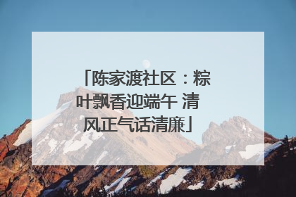 陈家渡社区：粽叶飘香迎端午 清风正气话清廉