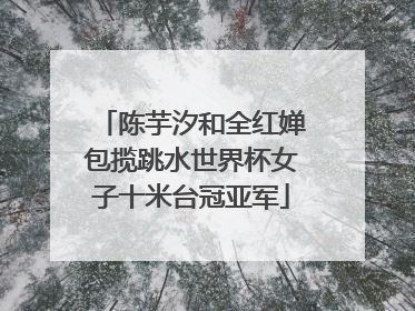 陈芋汐和全红婵包揽跳水世界杯女子十米台冠亚军