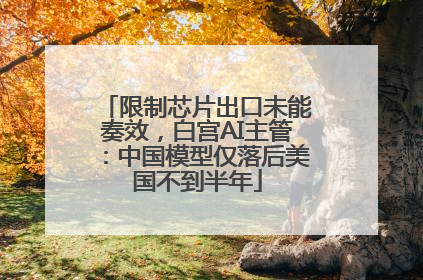 限制芯片出口未能奏效，白宫AI主管：中国模型仅落后美国不到半年