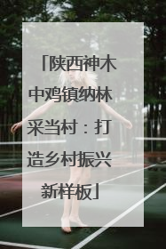 陕西神木中鸡镇纳林采当村：打造乡村振兴新样板