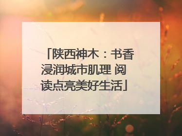 陕西神木：书香浸润城市肌理 阅读点亮美好生活