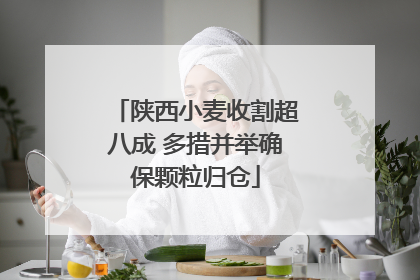 陕西小麦收割超八成 多措并举确保颗粒归仓