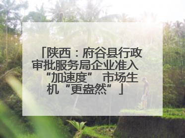 陕西：府谷县行政审批服务局企业准入“加速度” 市场生机“更盎然”