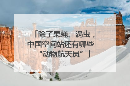 除了果蝇、涡虫，中国空间站还有哪些“动物航天员”