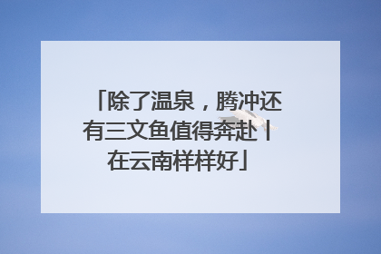除了温泉，腾冲还有三文鱼值得奔赴丨在云南样样好