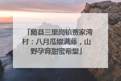 随县三里岗镇贾家湾村：八月瓜缀满藤，山野孕育甜蜜希望
