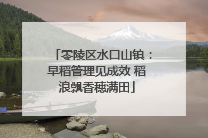 零陵区水口山镇：早稻管理见成效 稻浪飘香穗满田