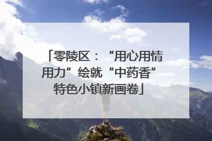 零陵区：“用心用情用力”绘就“中药香”特色小镇新画卷