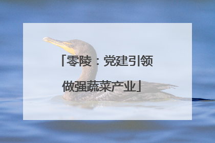 零陵：党建引领 做强蔬菜产业