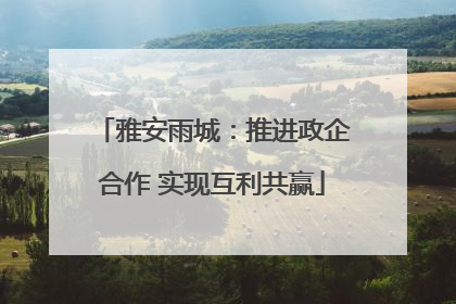 雅安雨城：推进政企合作 实现互利共赢