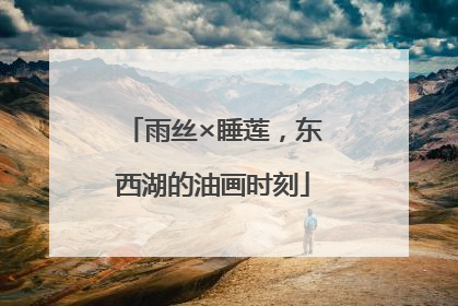 雨丝×睡莲，东西湖的油画时刻